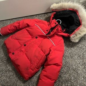 Little Kids Canada Goose